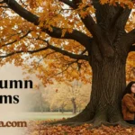 Autumn Poems
