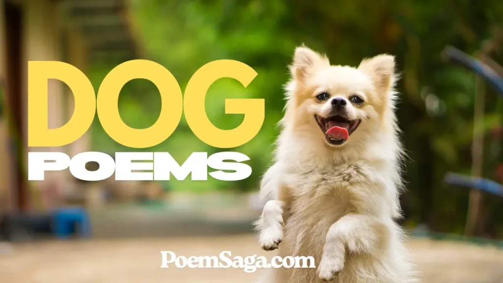 dog poems